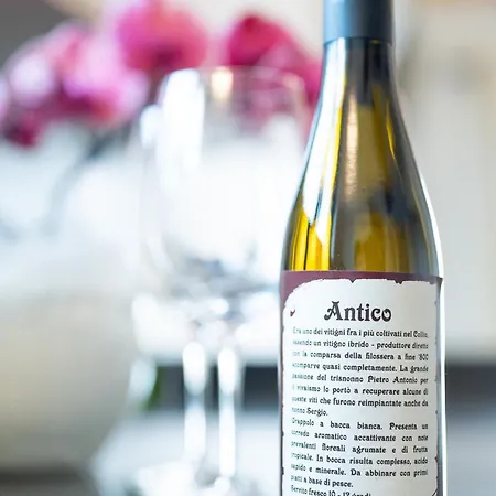 Grion * 고리치아